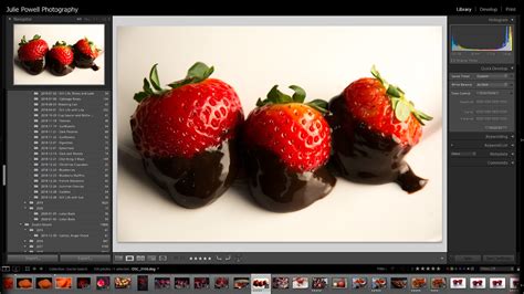 Excire Search Download Latest
